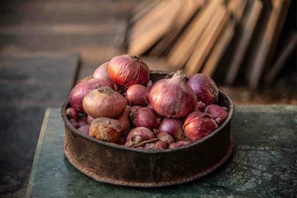 How to harvest onion process