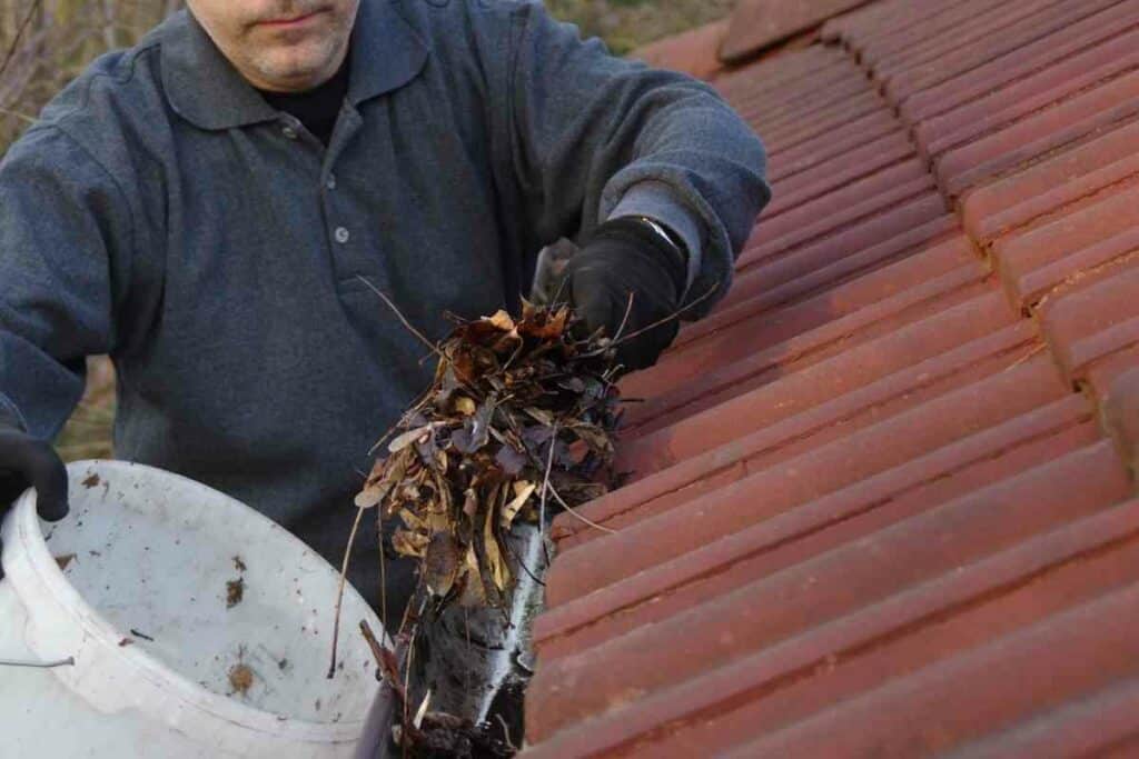 Cleaning house Gutters