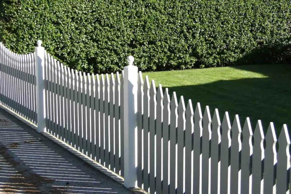 Picket fence for dogs