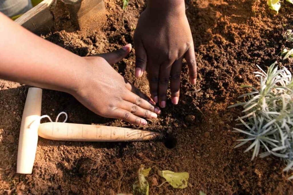 Playing in potting soil safe or not