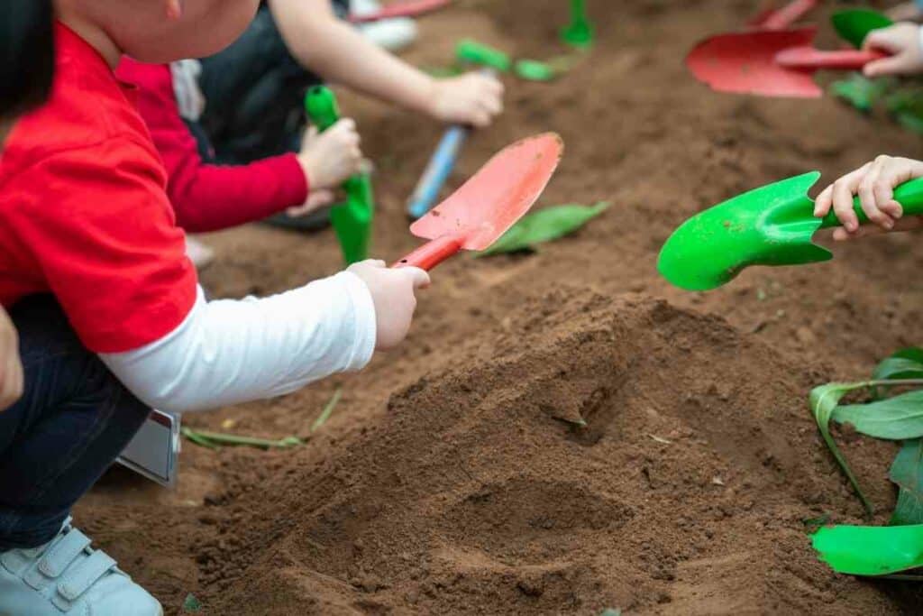 Downsides of playing in potting soil