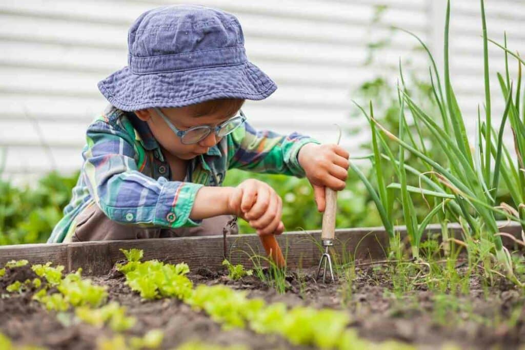 Is Potting Soil Safe to Play In?