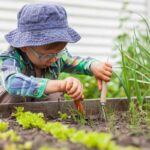 Is Potting Soil Safe to Play In?
