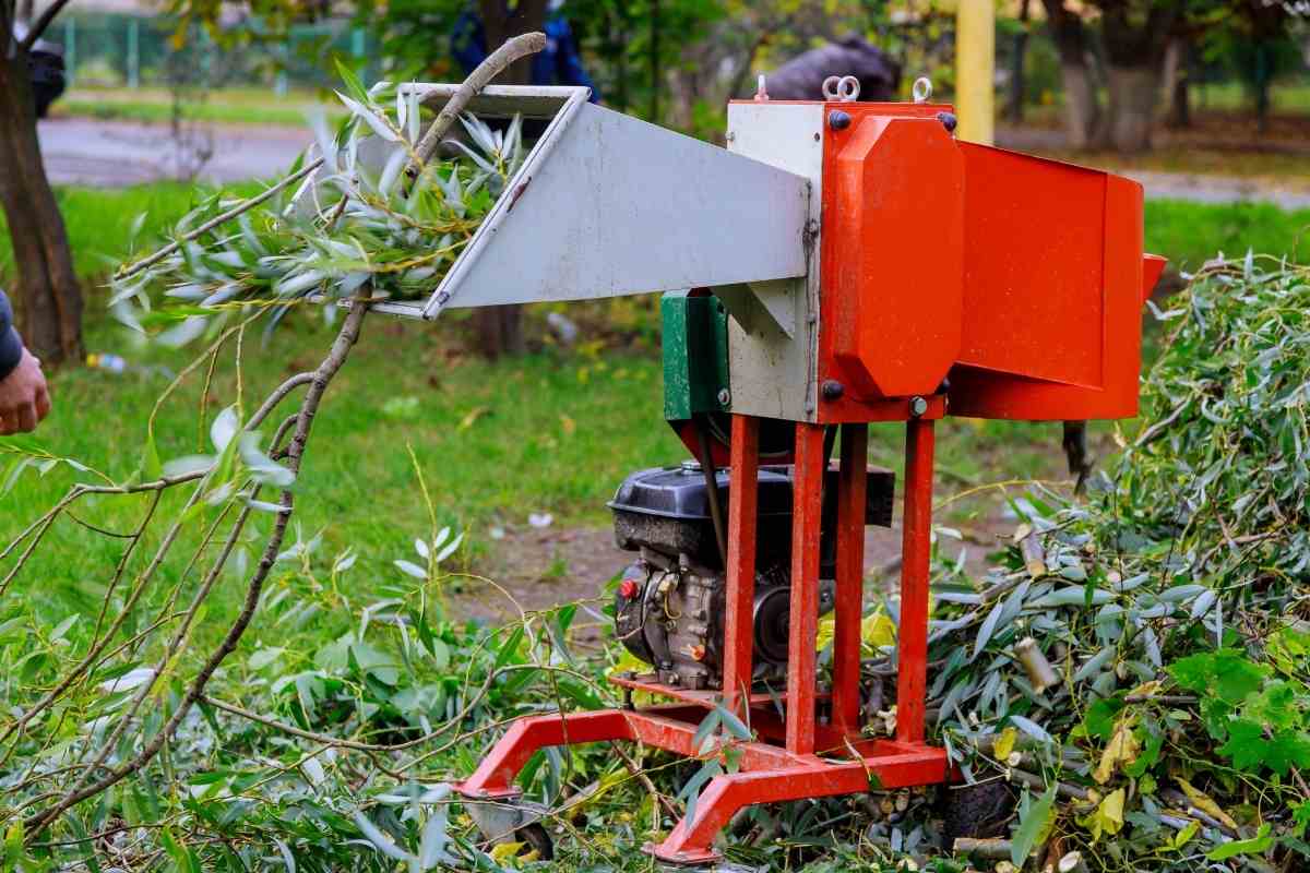 How Much Does a Wood Chipper Cost to Rent Gardenia Organic
