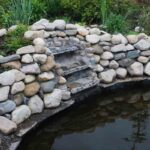 What To Do With An Unused Pond