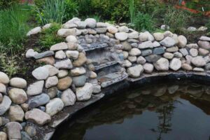 What To Do With An Unused Pond