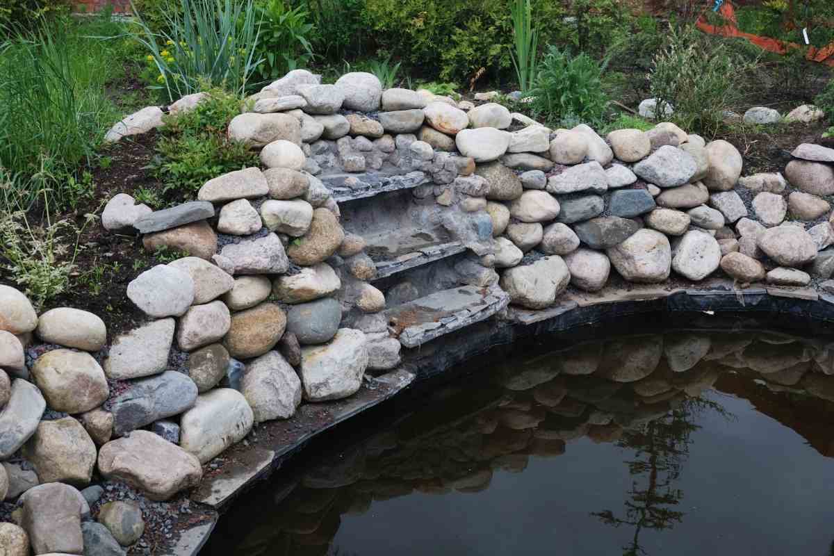 What To Do With An Unused Pond 7 Amazing Ideas Gardenia Organic