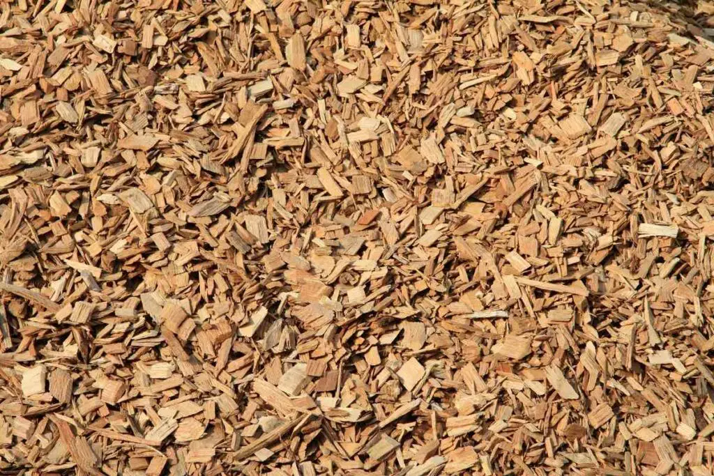 Wood Chips or mulch under swing set