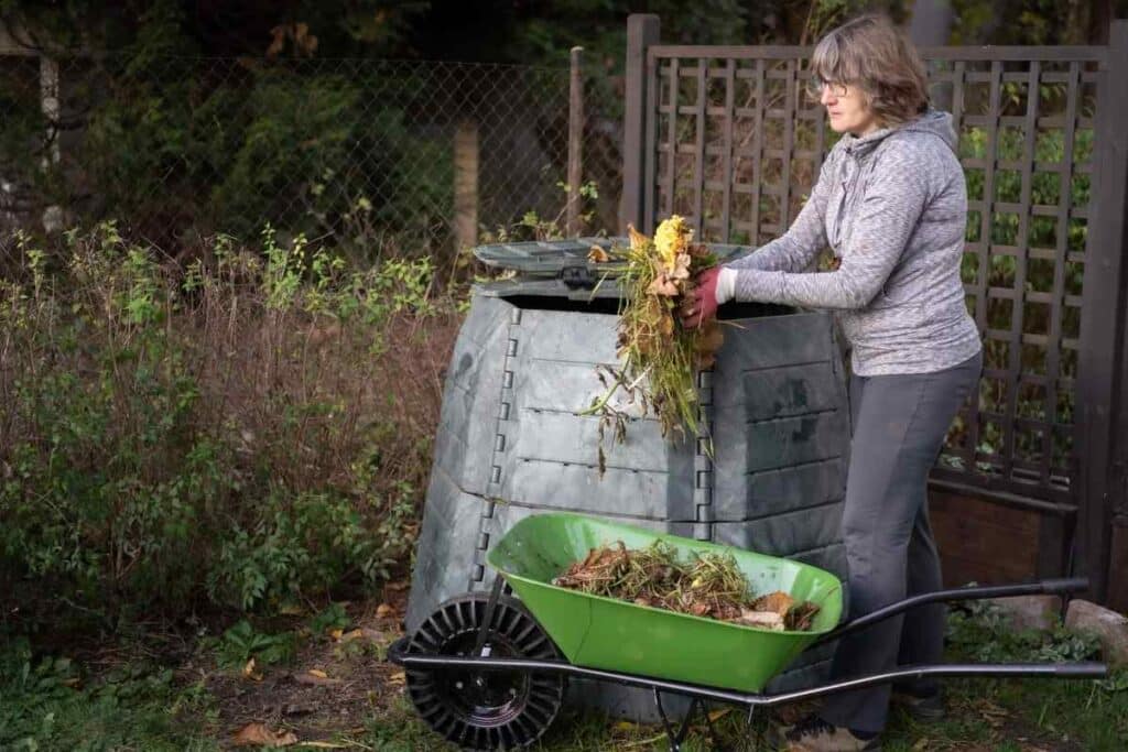 maggots in compost bin