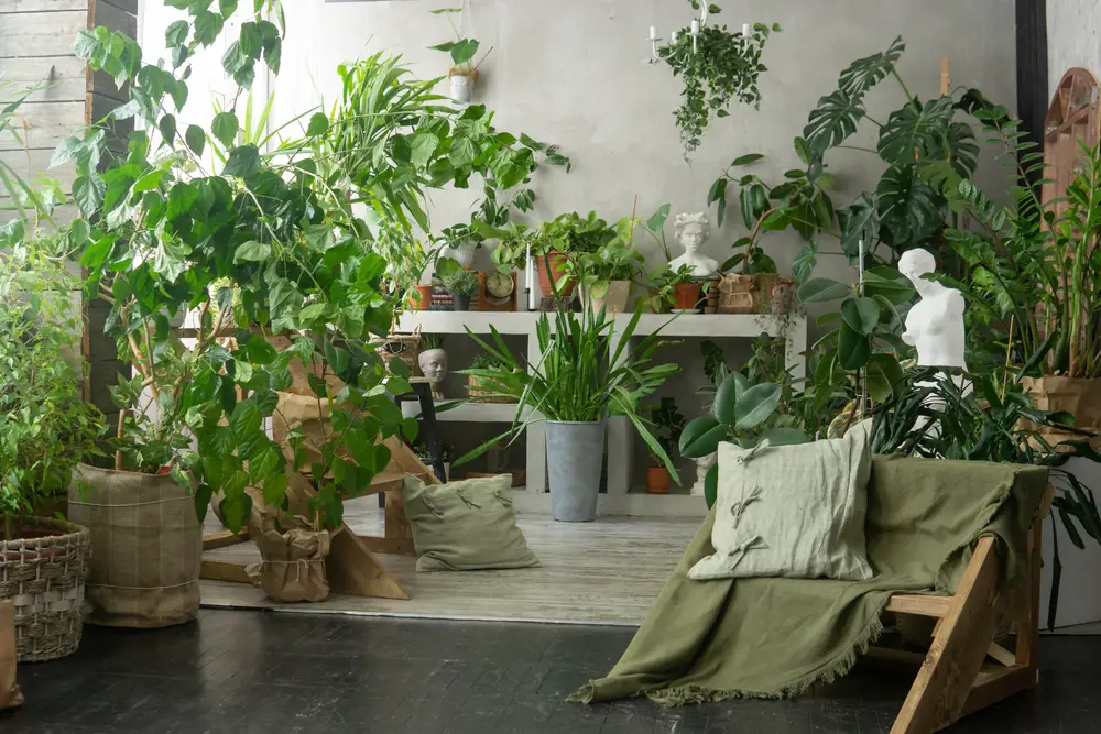 The Best Houseplants for Improving Indoor Air Quality