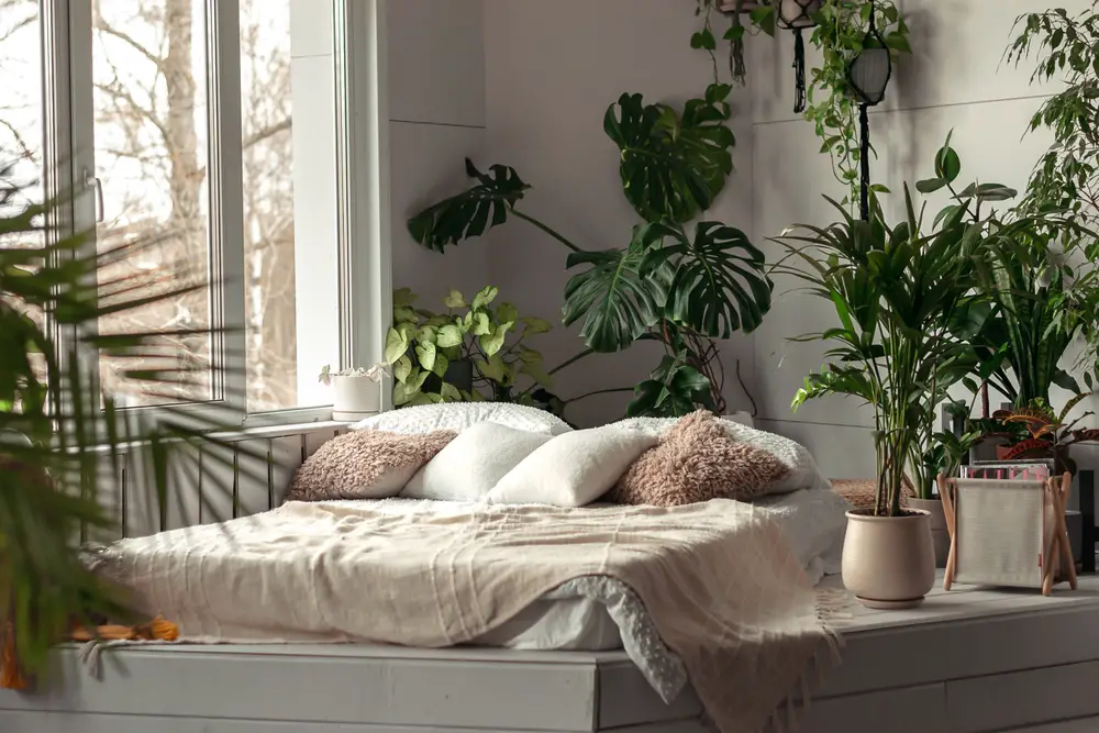 Why Oxygen-Producing Plants Are Perfect For Bedrooms