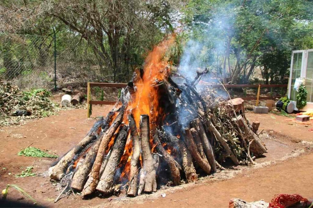 Burning wood in a garden can you do it