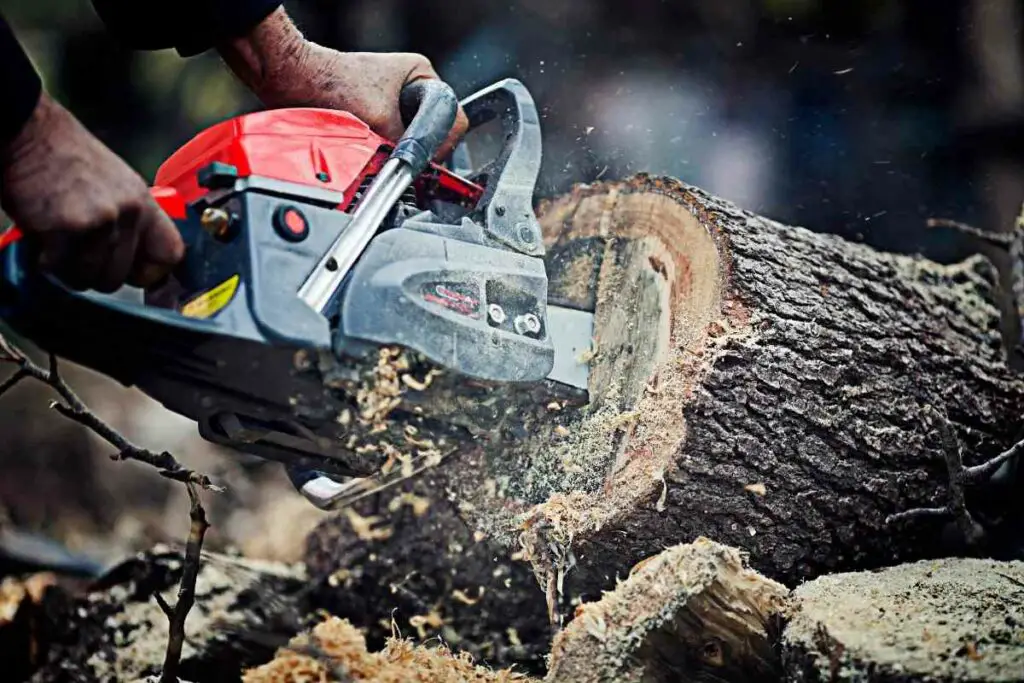 Chainsaw maintenance tips explained