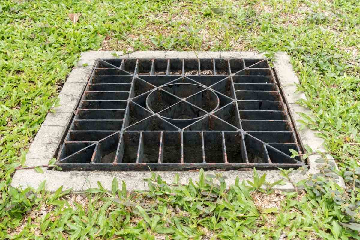Clever Ideas to Hide Drain Covers in Your Garden Gardenia Organic