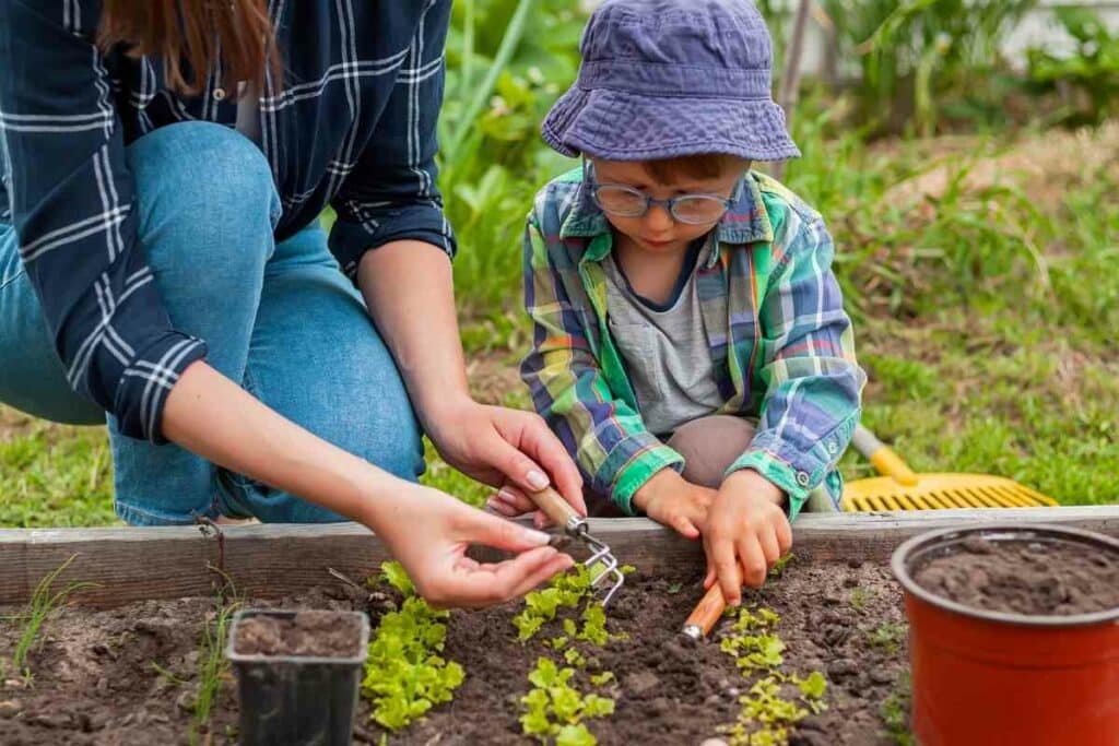 Kid-friendly backyard without grass