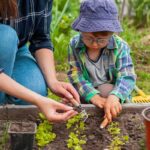 Kid-friendly backyard without grass