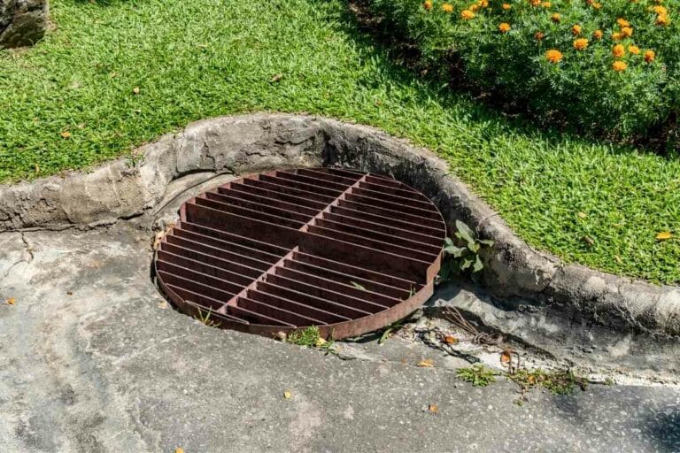 Clever Ideas to Hide Drain Covers in Your Garden Gardenia Organic