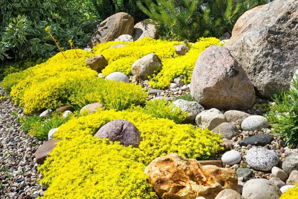 Types of rocks for garden