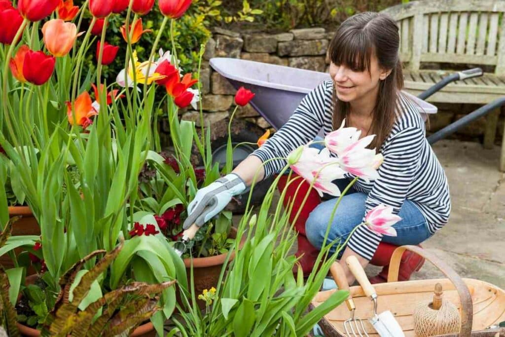 Gardening tools gardener must have list