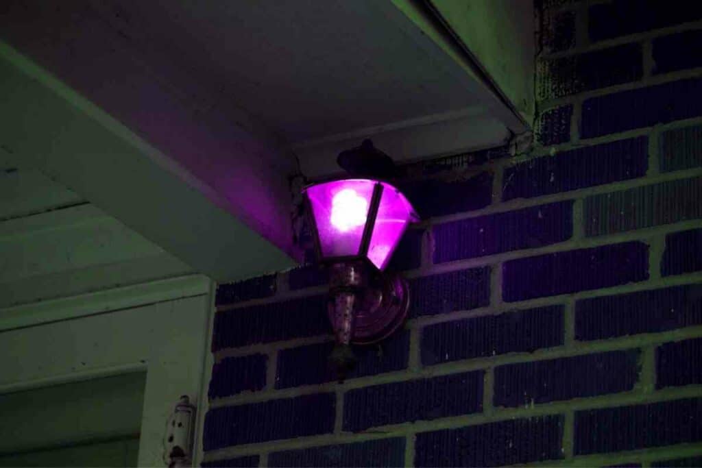 Porch light purple meaning explained