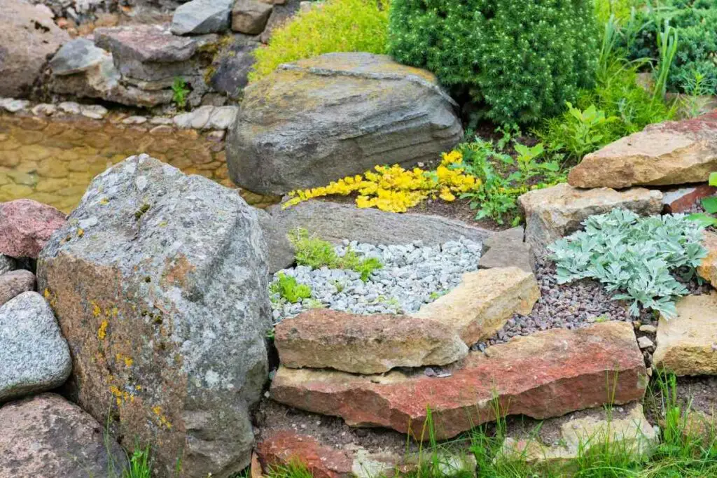 Garden Rock Ideas