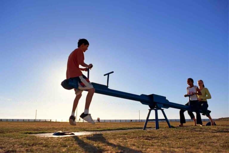 Teeter Totter vs Seesaw What's the Difference? Gardenia Organic