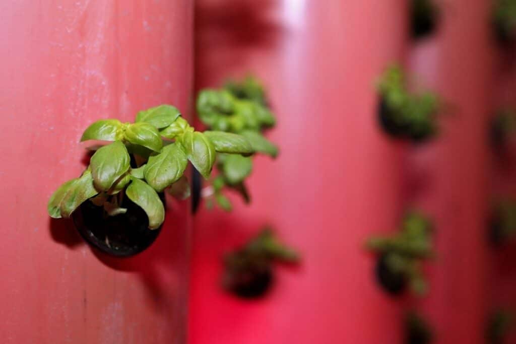 ultrasonic fogger aeroponics  explained