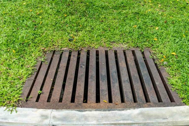Clever Ideas to Hide Drain Covers in Your Garden Gardenia Organic