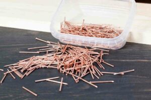 Do Copper Nails Really Kill Tree Stumps?