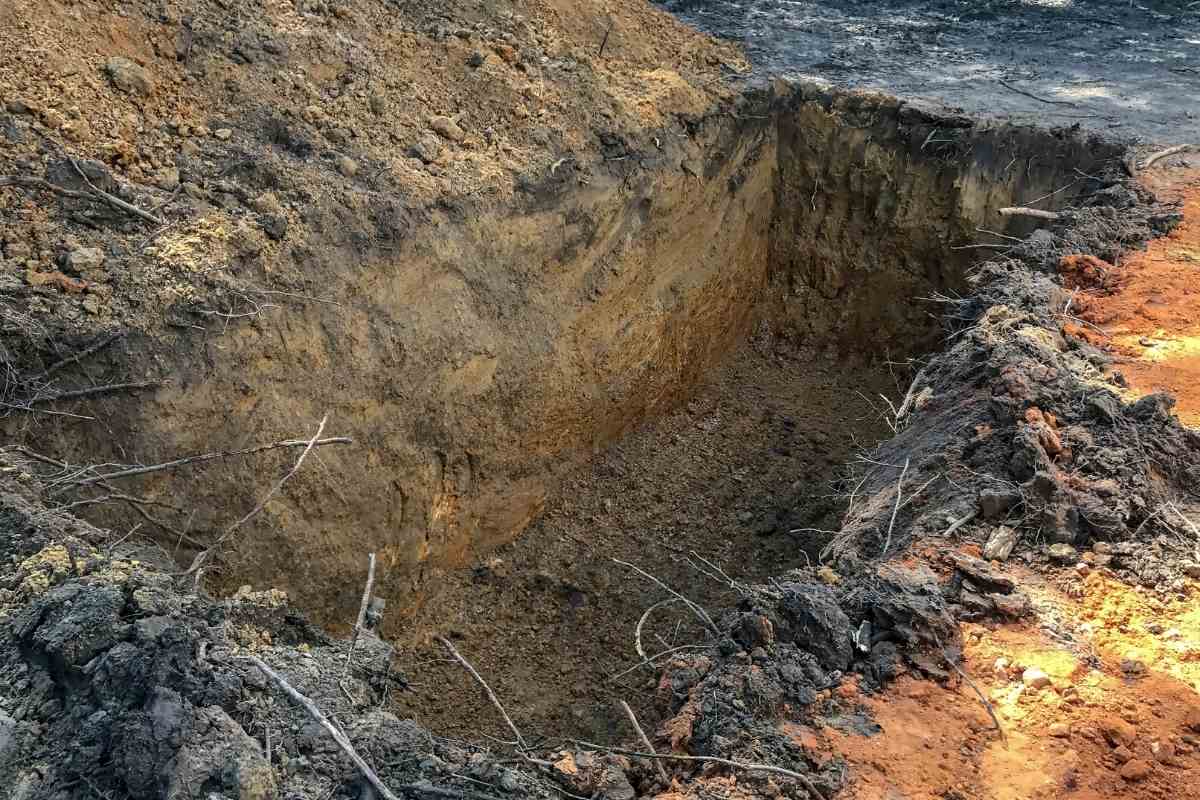 What's the Best Way to Dig a Deep Hole in Your Backyard? Gardenia Organic