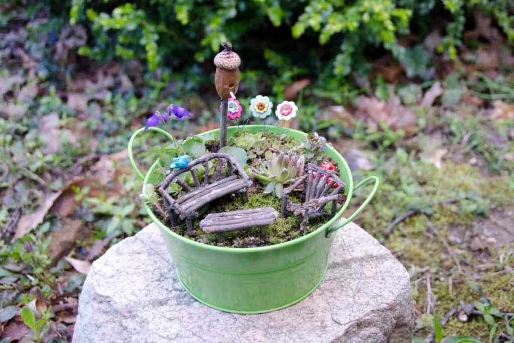 Fairy garden in backyard