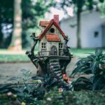 Fairy gardens explained