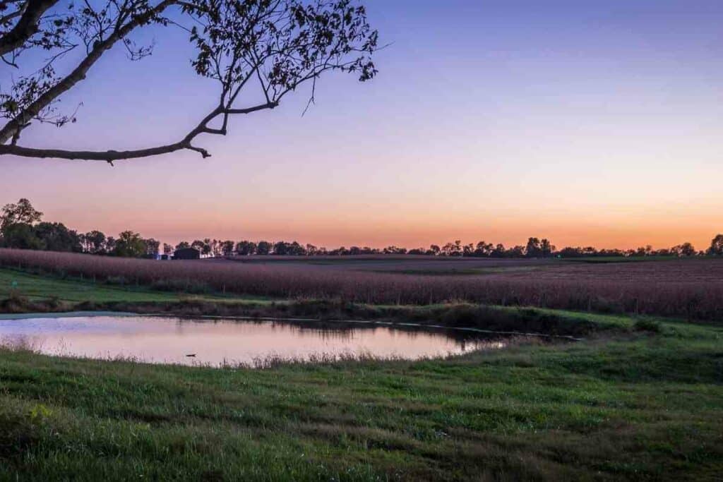 Farm pond