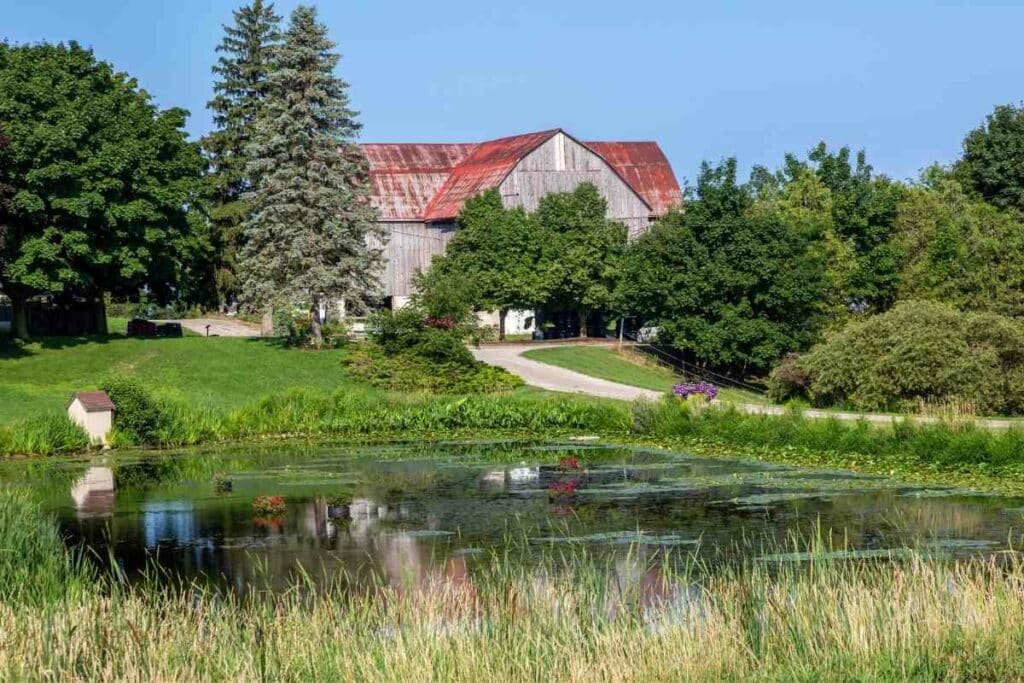 where to Get water for farm pond