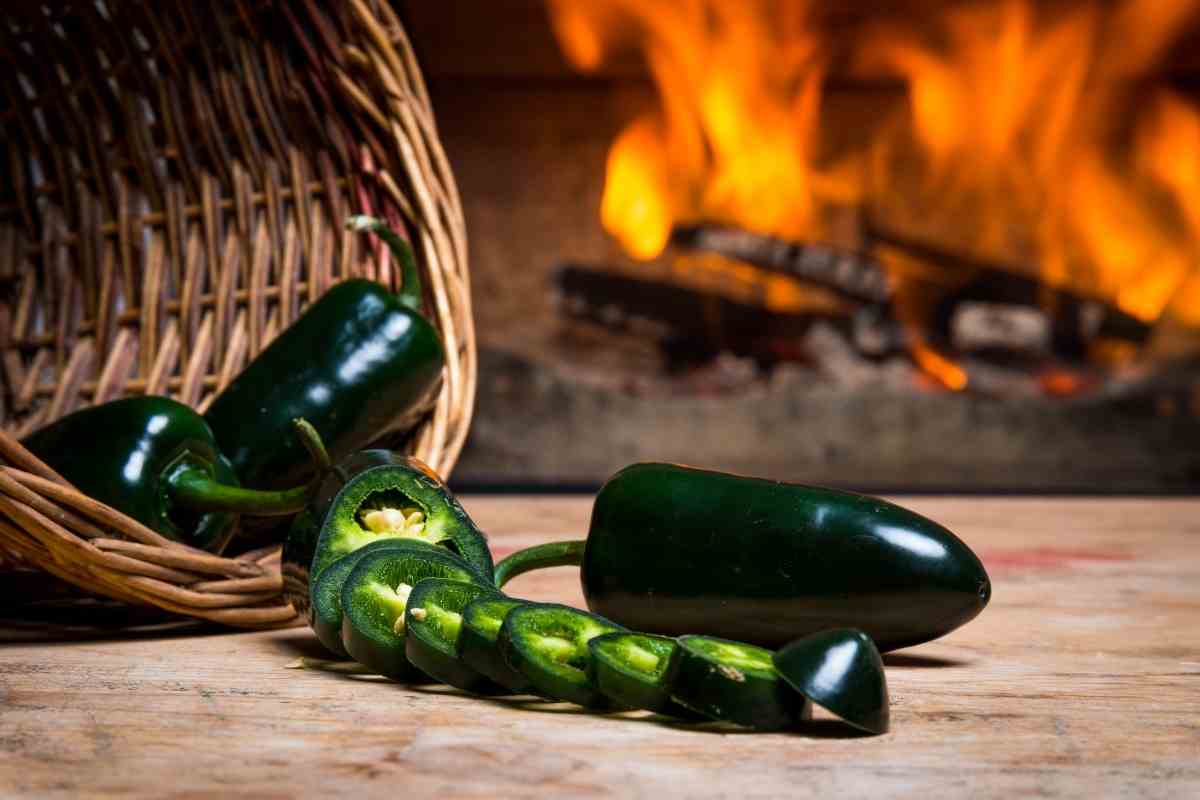 Grower's Guide for Jalapeños In a Pot Gardenia Organic