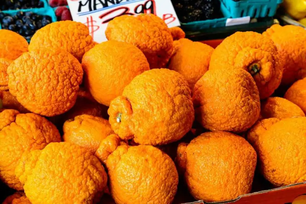Grow Healthy sumo oranges