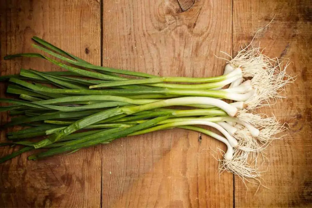 How to grow green garlic in your backyard