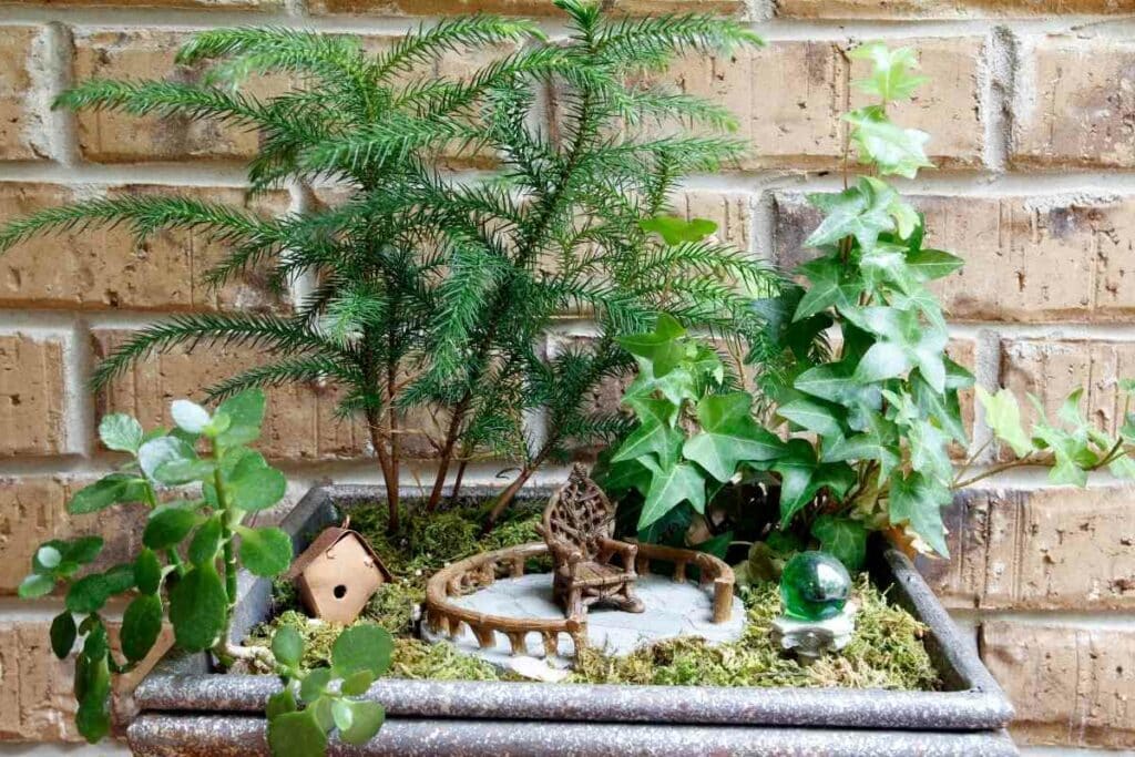 Making outdoor fairy garden