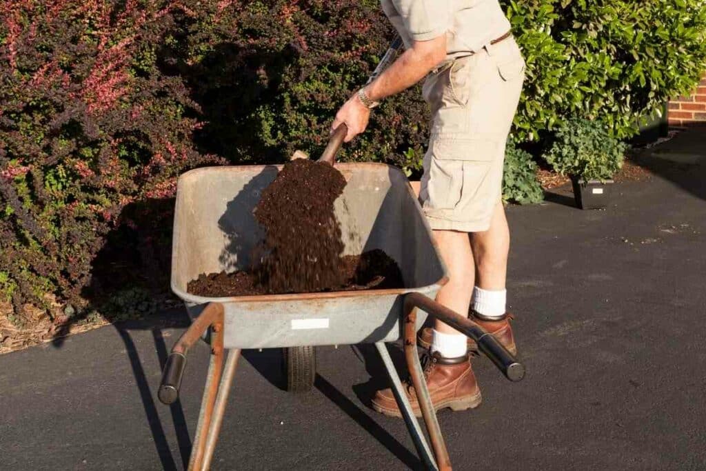 wheelbarrow dirt