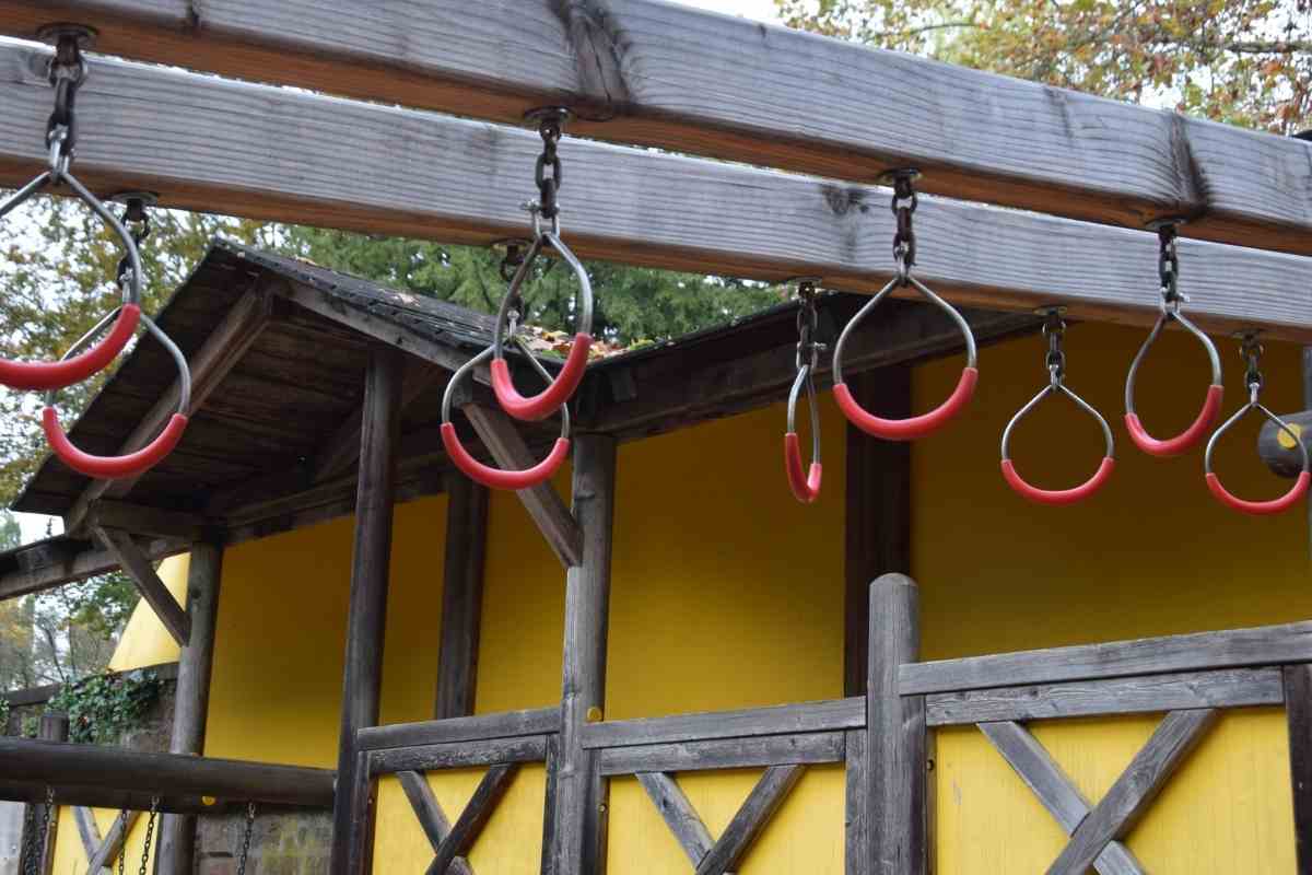 How to Make DIY Jungle Gym In Your Backyard Gardenia Organic