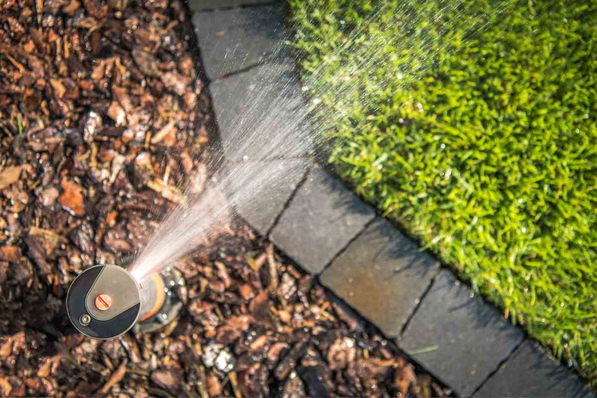 Best Motion Activated Sprinklers Natural Pest Deterrents Gardenia