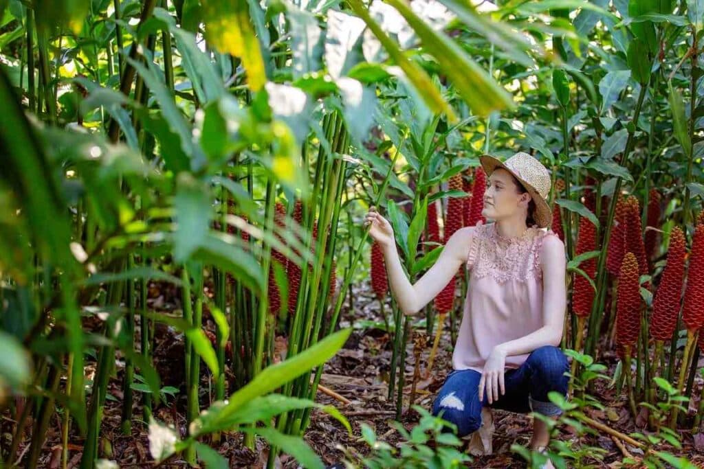 Outdoor plants with big leaves