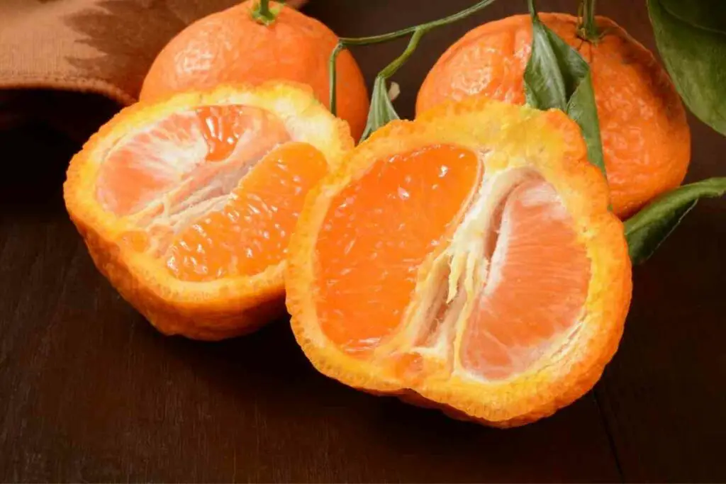 What is Sumo orange