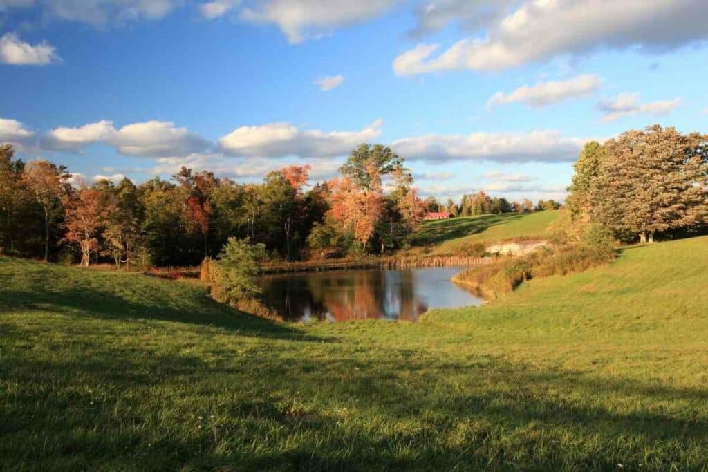 Types of farm ponds explained