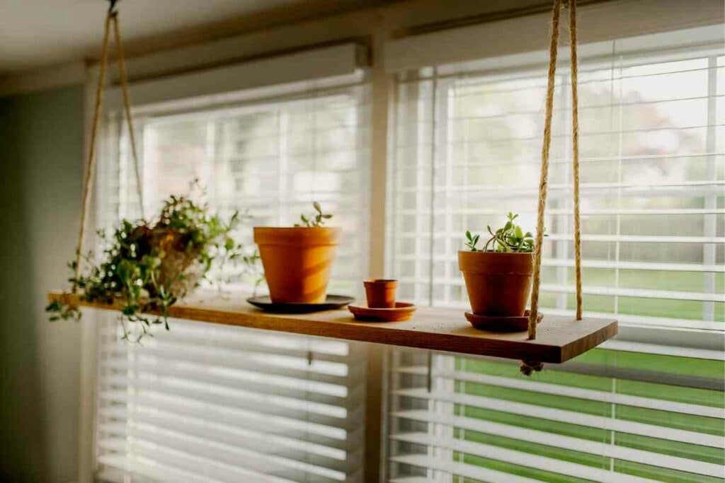 right ceiling hook for plants