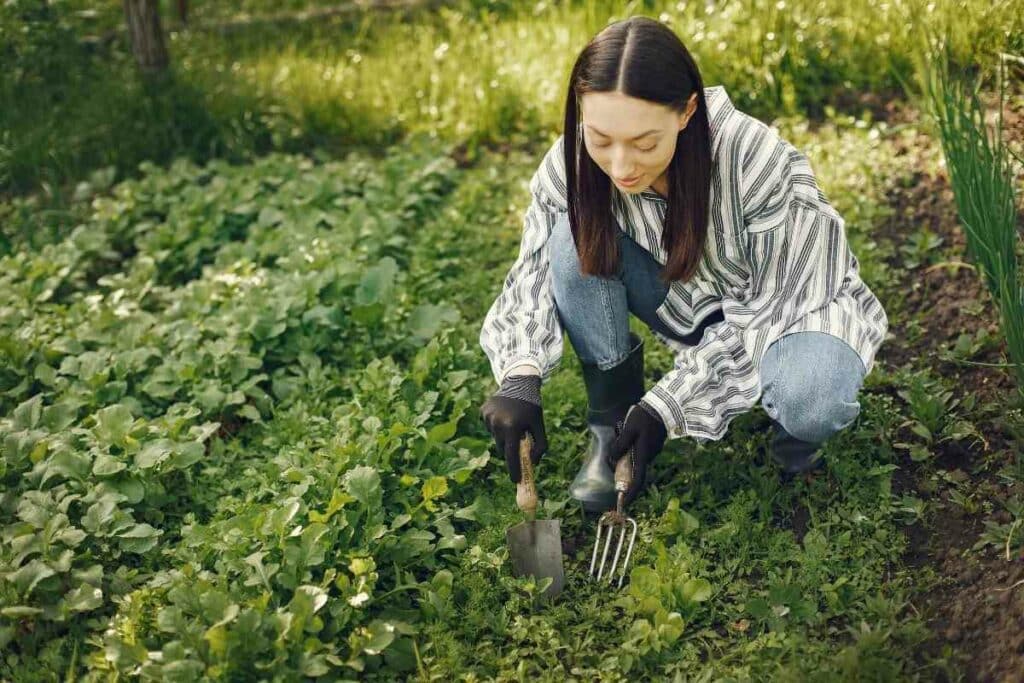 Protect your arms with gardening sleeves