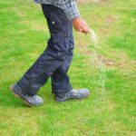 Fertilizer help grass grow explained