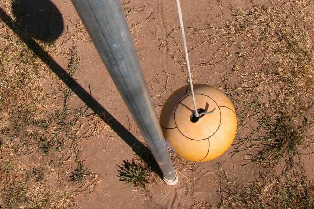 Tetherballs in backyard