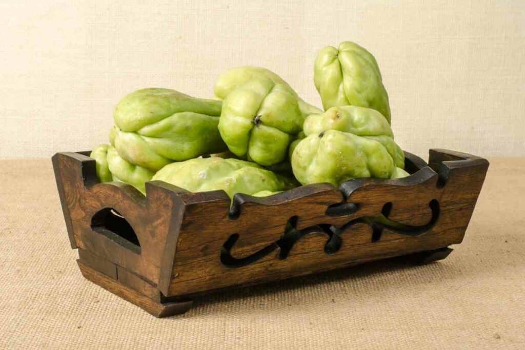 Chayote harvest