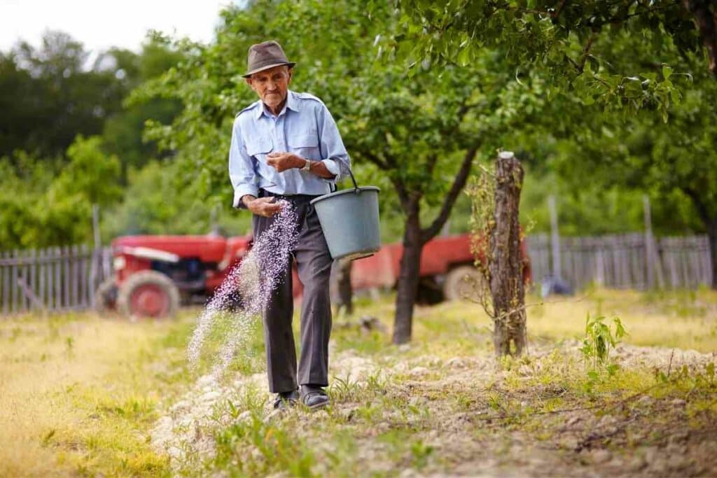 Types granular fertilizers Dissolve